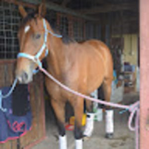 Meet your Posher, Mandy